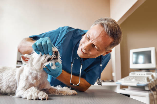 Best Emergency Dental Surgery in Beverly Hills, CA